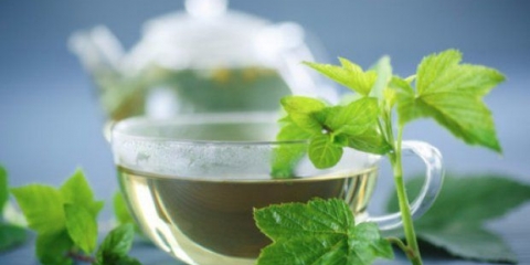 Recepti za tinkturu na listovima i granama ribizle